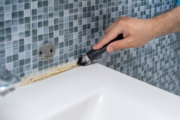 Best Mold Damage Repair  in Leawood, KS