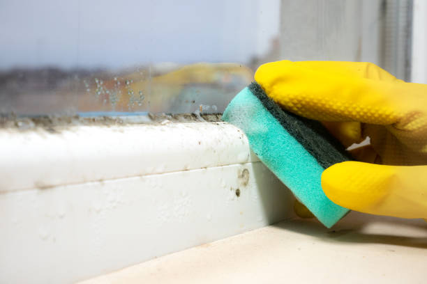 Best Mold Testing  in Leawood, KS