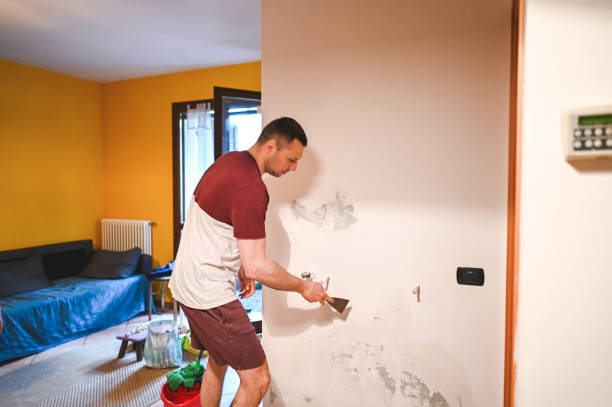 Best Fast Mold Removal  in Leawood, KS